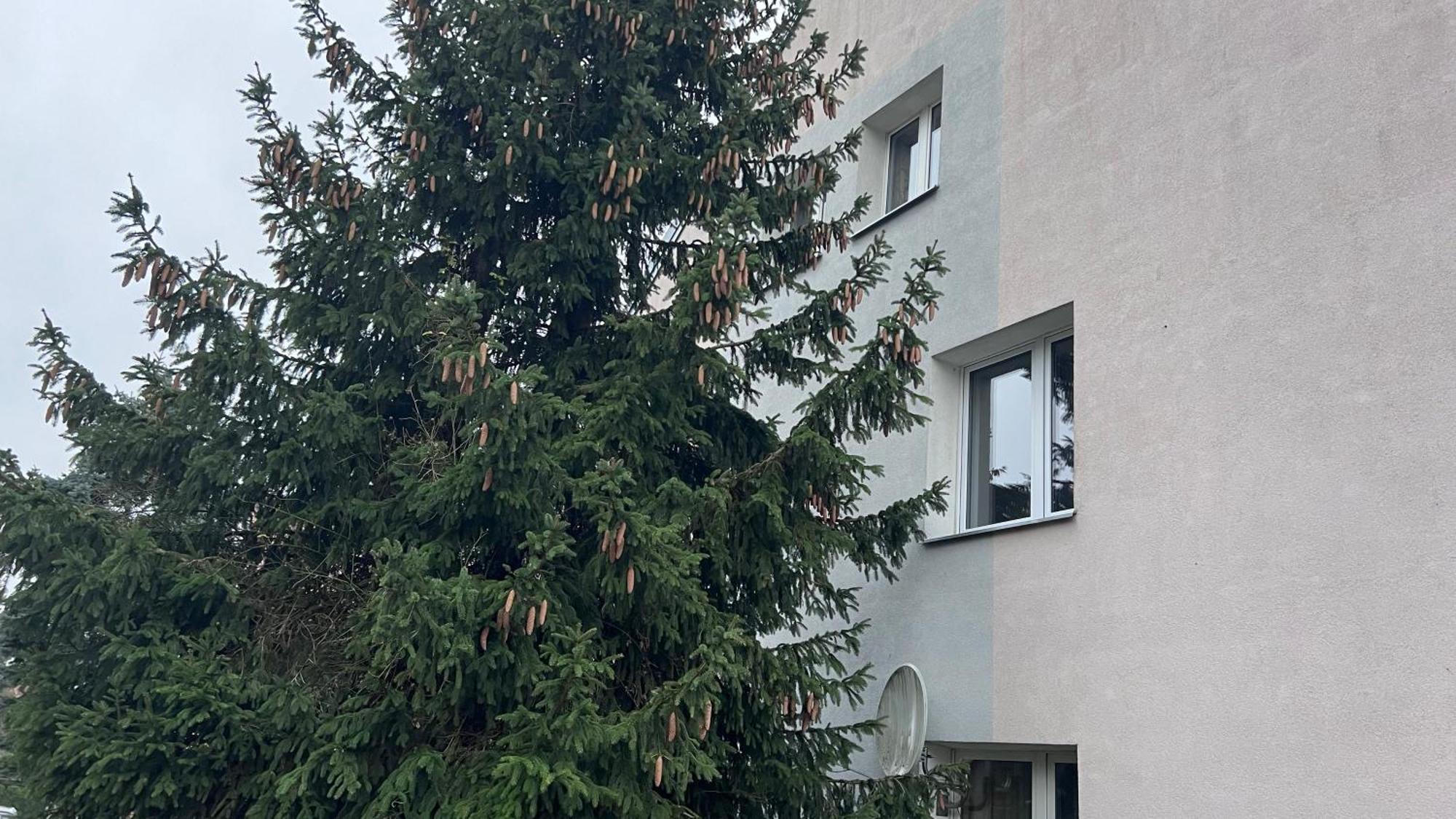 Apartament Niebianskie Pogodno シュチェチン エクステリア 写真